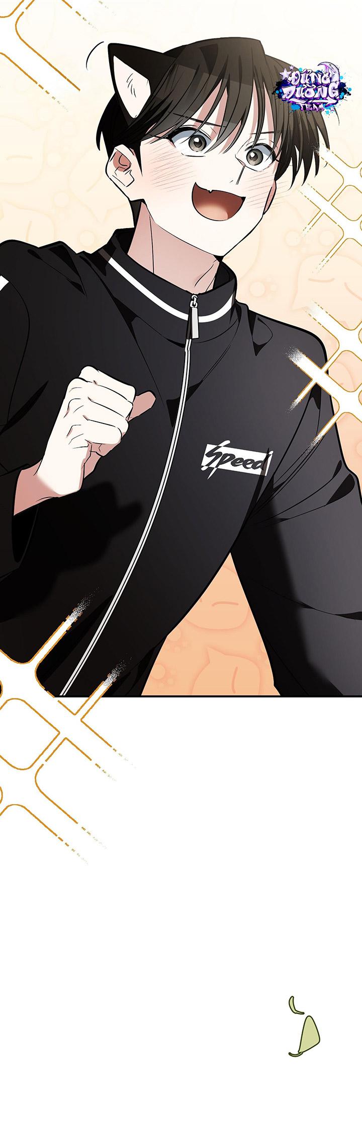 [DDT] HÃY SINH NHẤT MIÊU HÀI WILDCAT, NHƯ BẤT DỤC KIẾN NGÃ PHÁT CUỒNG! Chapter 1 19+ - Trang 2