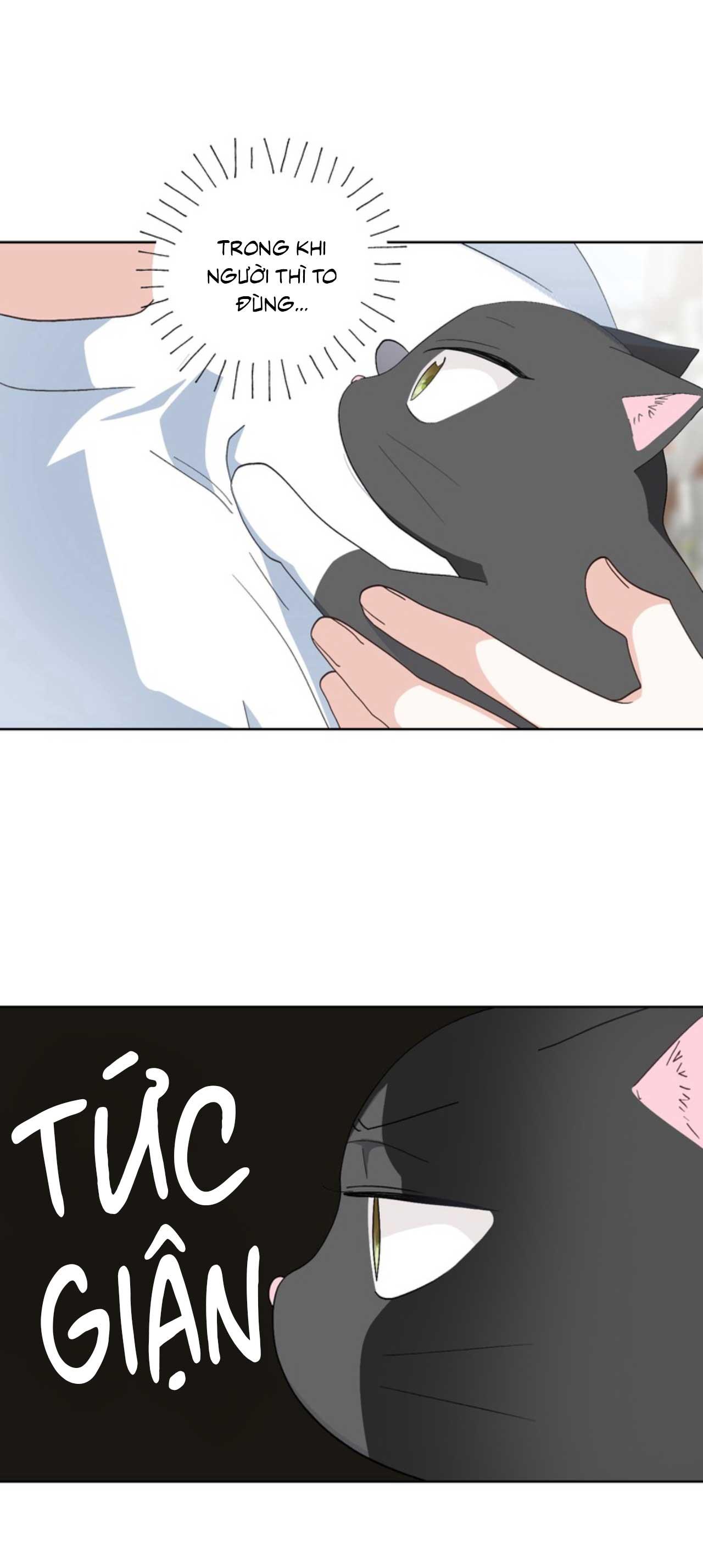 XIN HÃY YÊU THƯƠNG DÙ TÔI LÀ CHUỘT Chapter 7 - Trang 2