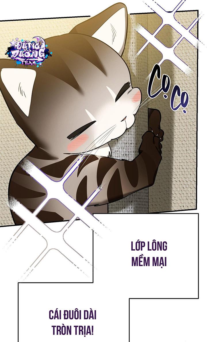 [DDT] HÃY SINH NHẤT MIÊU HÀI WILDCAT, NHƯ BẤT DỤC KIẾN NGÃ PHÁT CUỒNG! Chapter 1 19+ - Trang 2