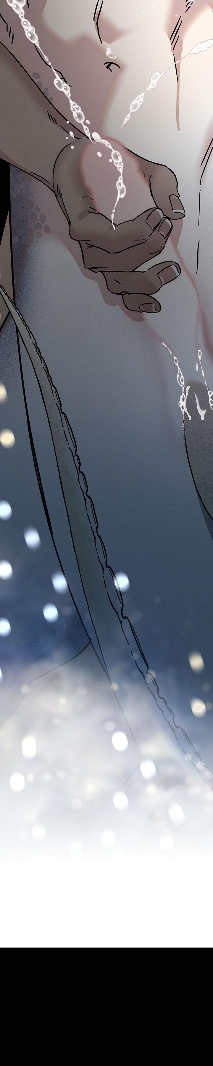 Mermaid's Cradle Chapter 3 - Trang 2