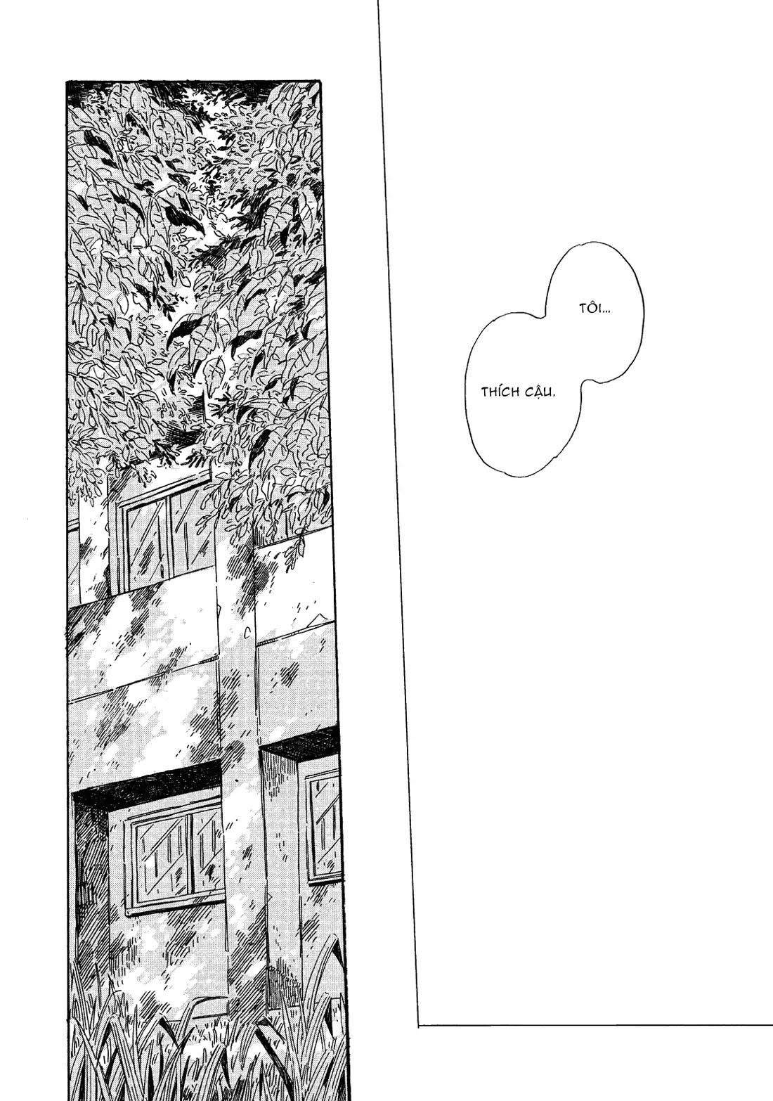 Vũ Điệu Của Ánh Sáng Chapter 6 - Trang 2