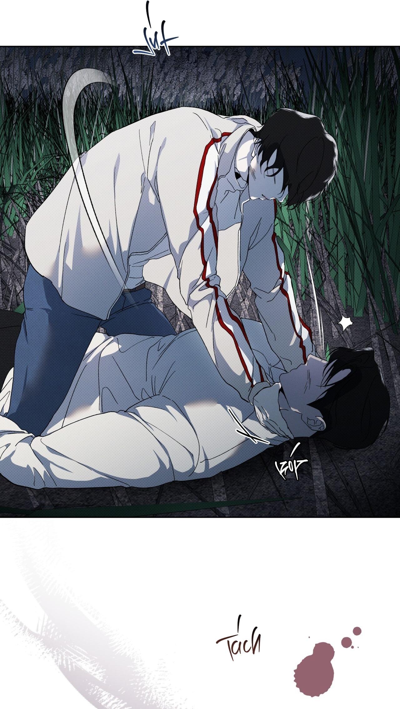 (GĐCV) HÌNH THÁI TIẾN HÓA Chapter 13 - Trang 2