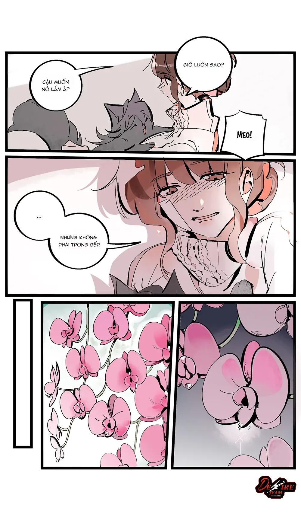 Gơ Lớp Cực Cưng Nhà Des Chapter 2 Mèo meo - Trang 2
