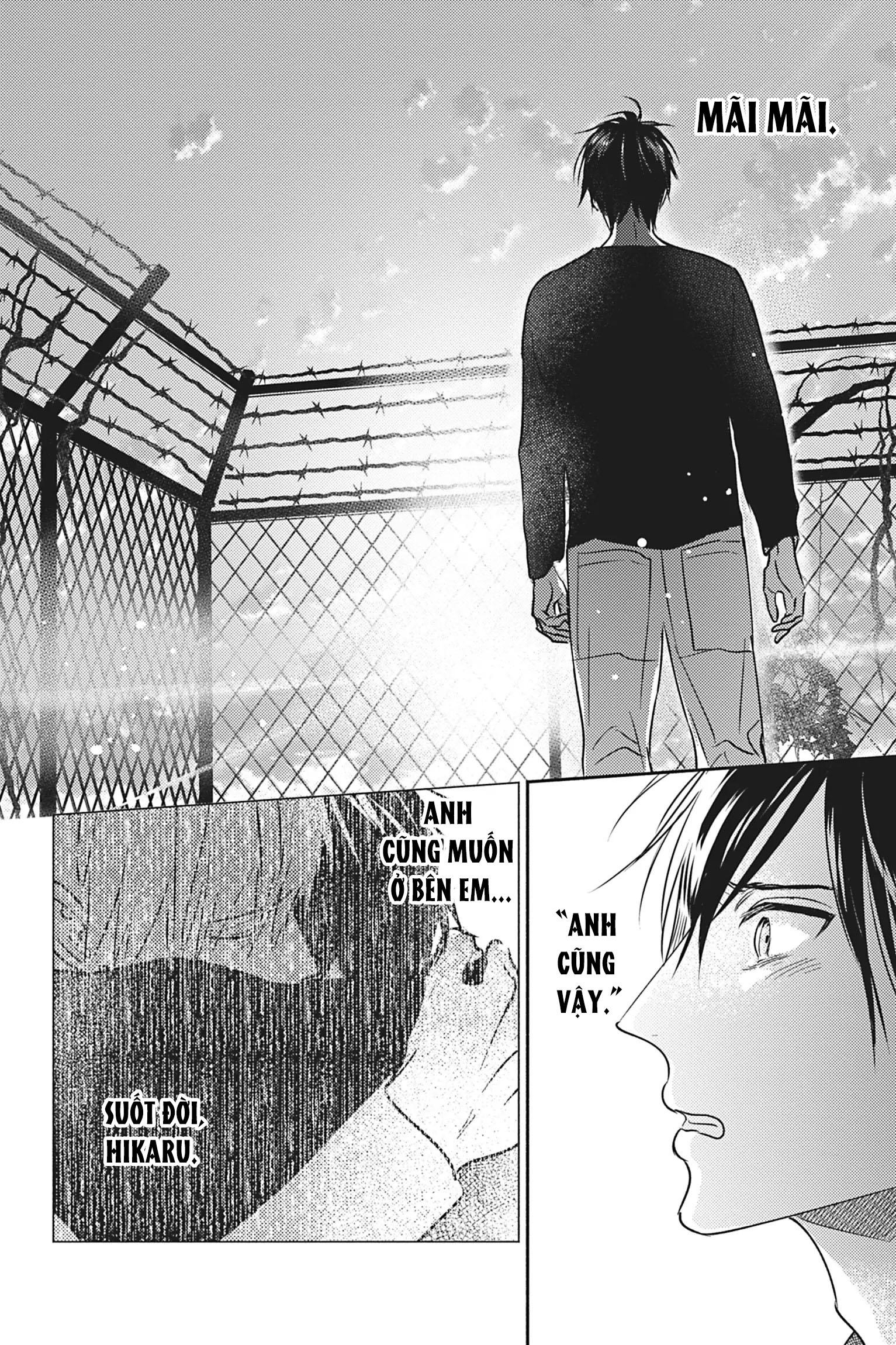 Bất Tử: Tìm Kiếm Tình Yêu Giữa Tận Thế Xác Sống Chapter 5 - Trang 2