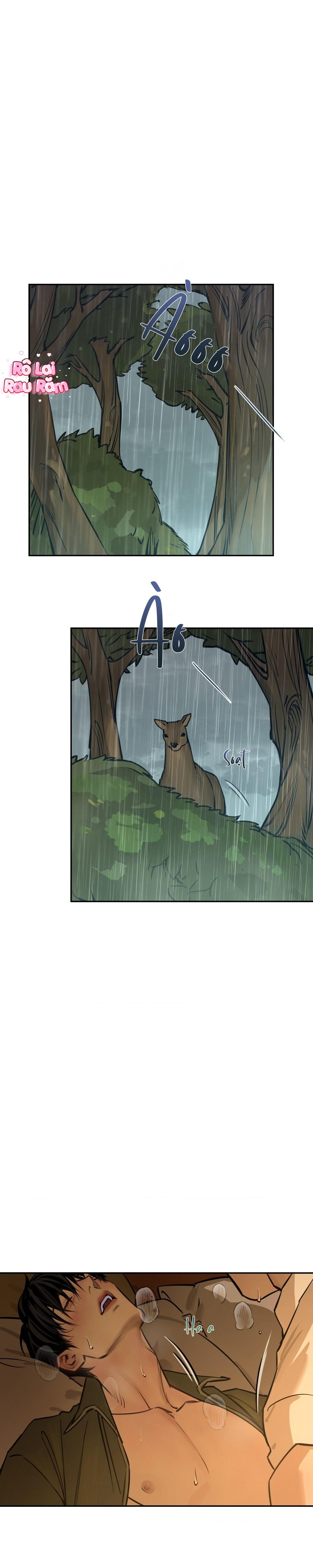 THE FALLEN LAMB Chapter 5 H+ lổ rái - Trang 2
