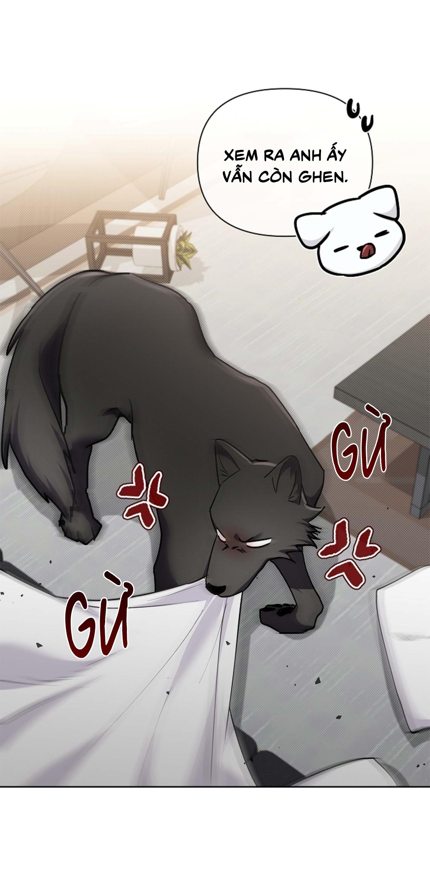 ĐỪNG ĐỘNG VÀO CÚN CON! Chapter 44.06 - Trang 2