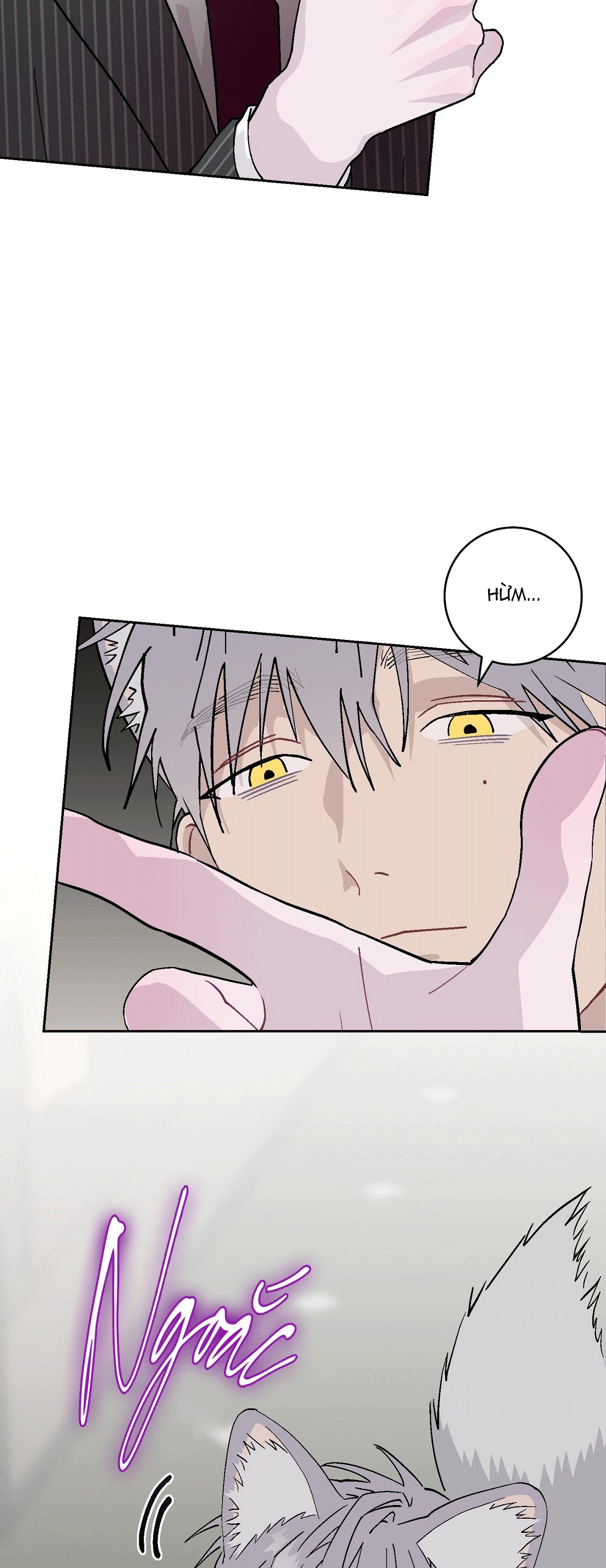 GUIDE ESPER NGẮN Chapter 4.7 esperđịnhmệnhnt - Trang 2