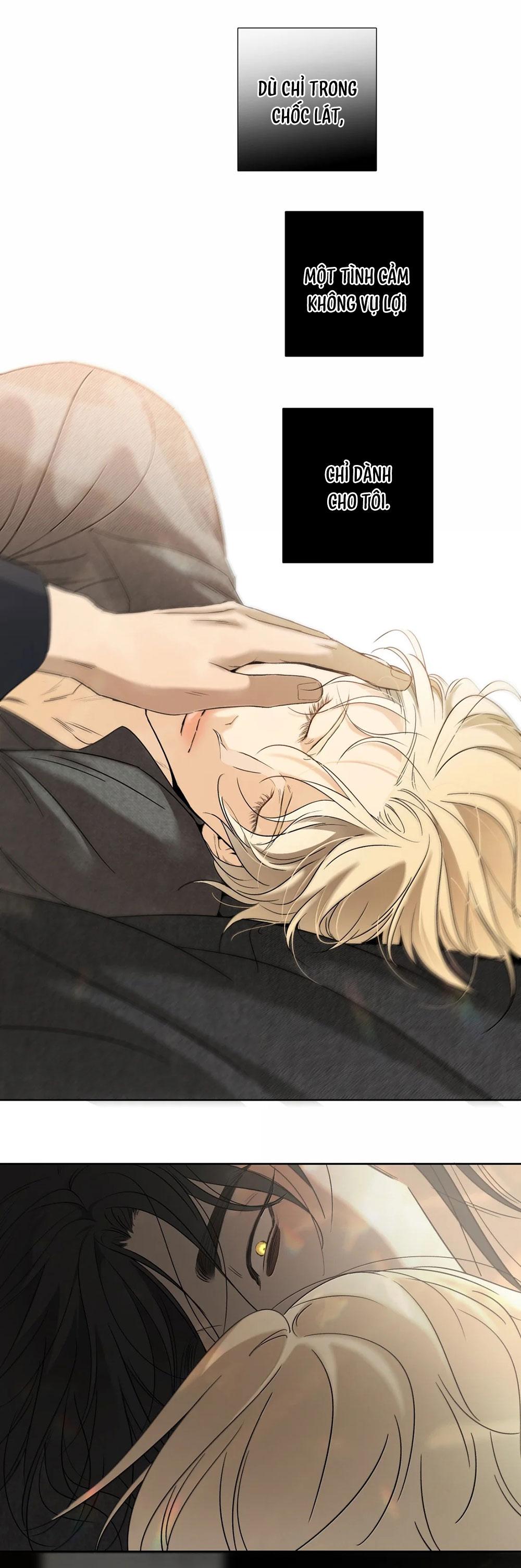 Sắc Thu Nghĩa Trang Chapter 23 - Trang 2