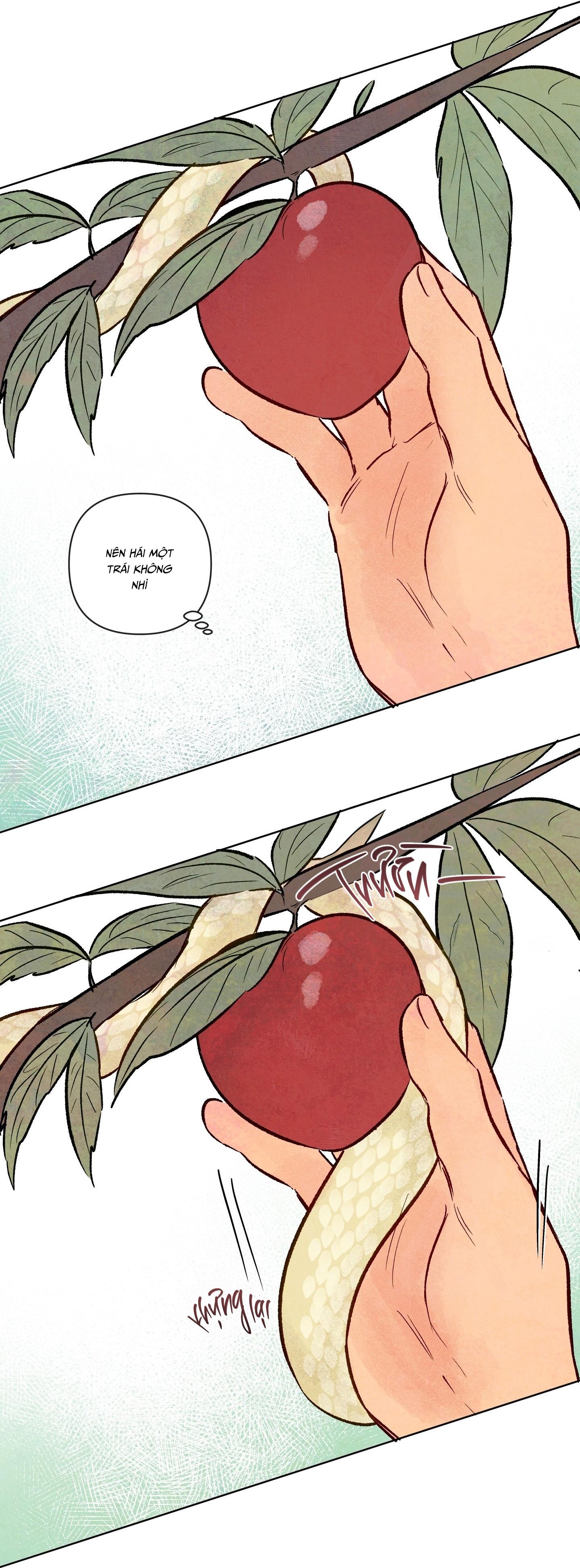 The Sacred Serpent's Seduction Chapter 25 H+ - Trang 2