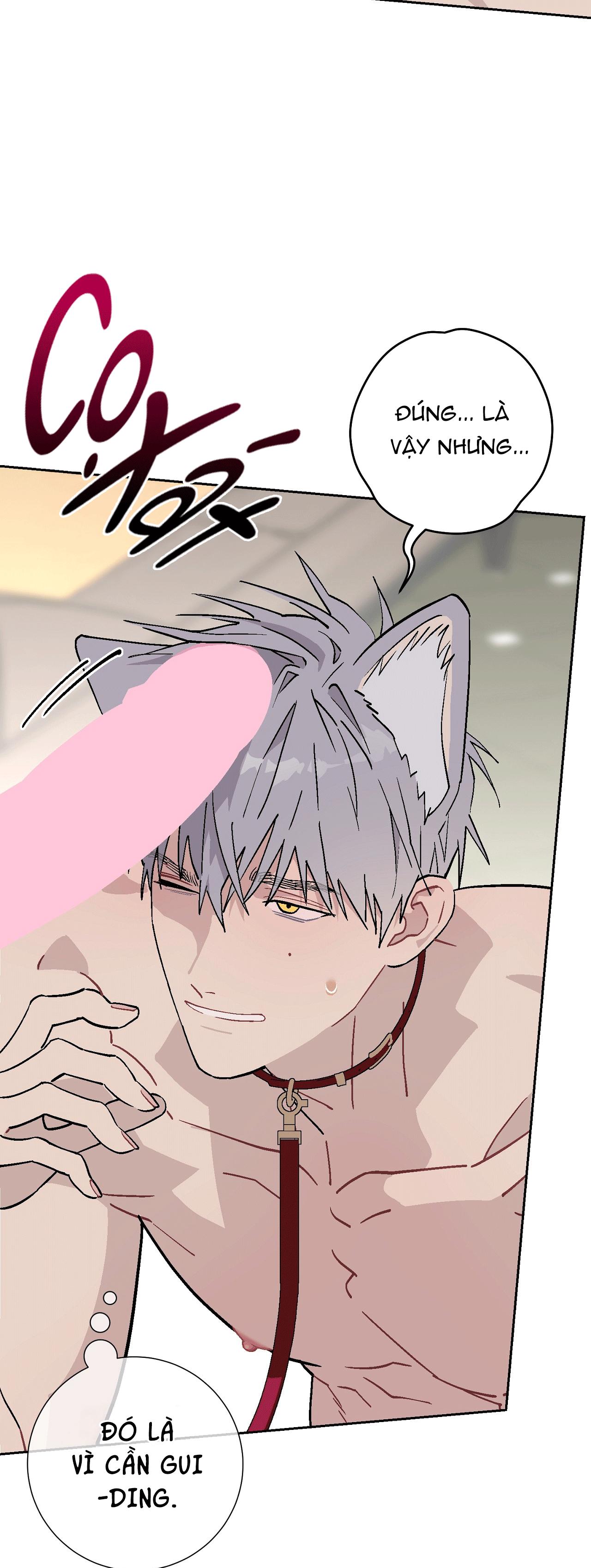 GUIDE ESPER NGẮN Chapter 4.7 esperđịnhmệnhnt - Trang 2