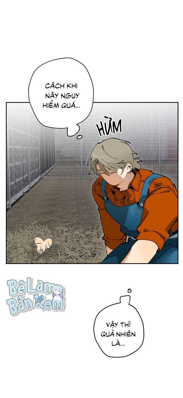 Mr.A's Farm Chapter 9 - Next Chapter 10