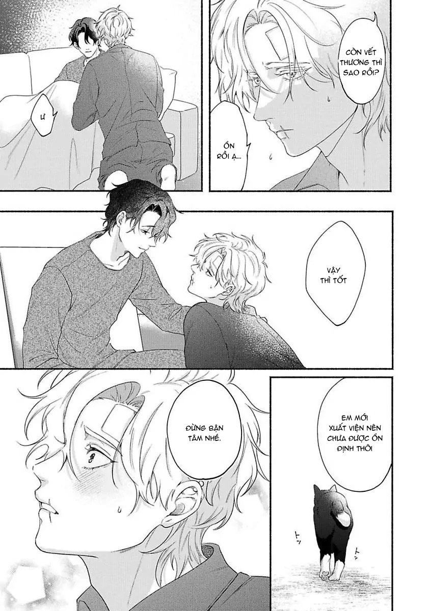 Vết cắn ngọt ngào và giấc mơ ban chiều Chapter 3 - Trang 2