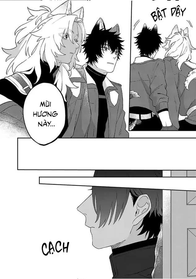 Hai Chú Chó Rắc Rối Chapter 3 - Trang 2
