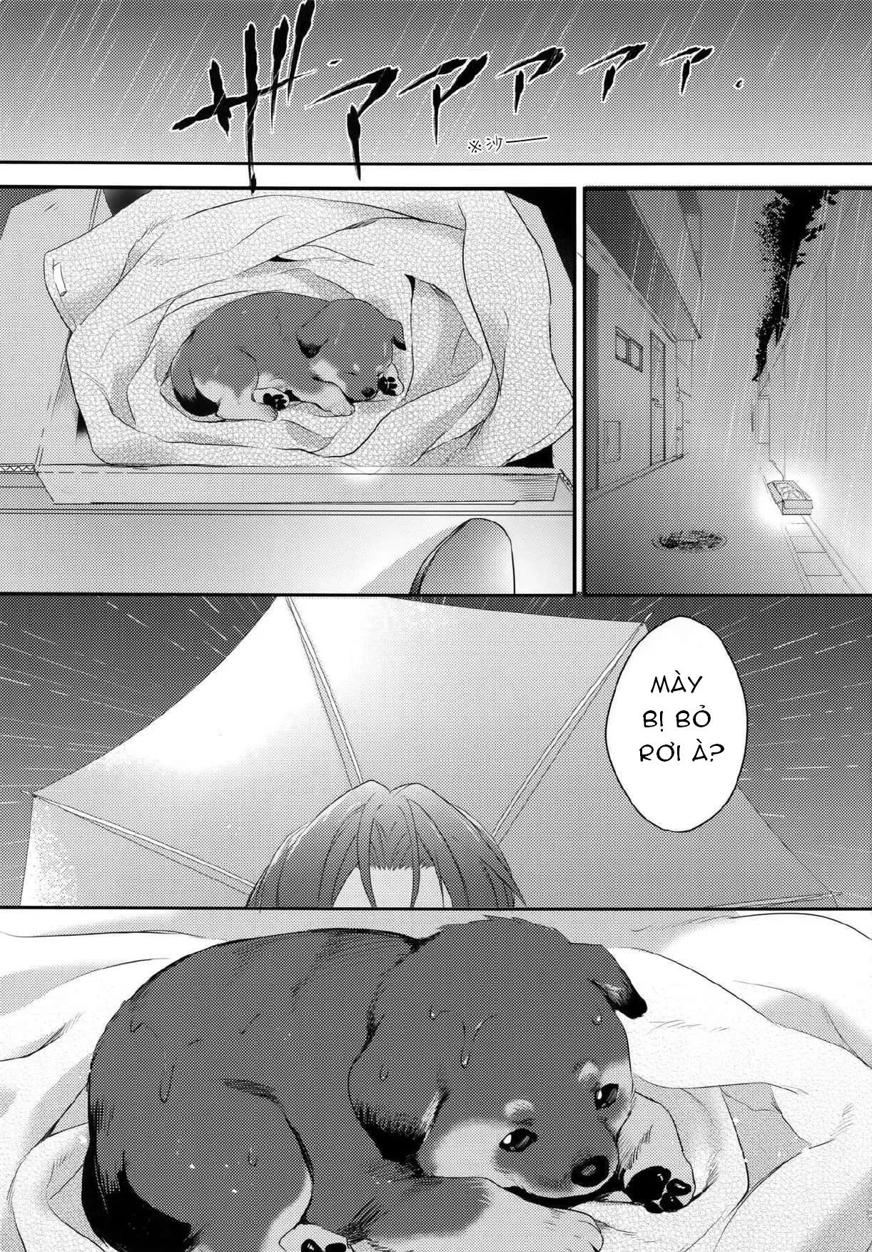 ONESHOT COI LÀ NỨNG Chapter 303 - Trang 2