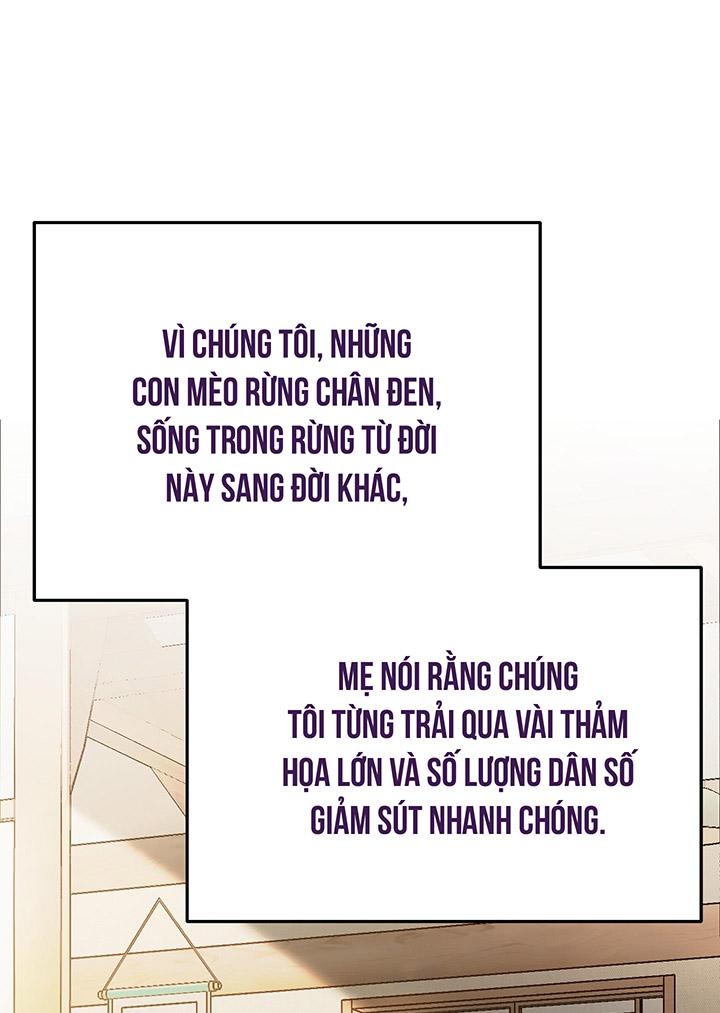 [DDT] HÃY SINH NHẤT MIÊU HÀI WILDCAT, NHƯ BẤT DỤC KIẾN NGÃ PHÁT CUỒNG! Chapter 1 19+ - Trang 2