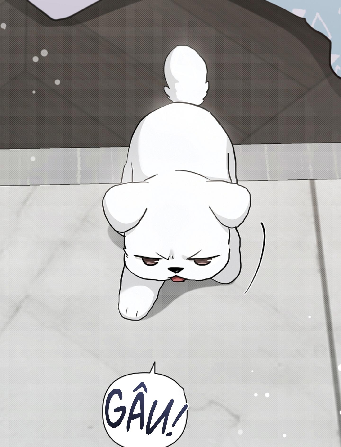 ĐỪNG ĐỘNG VÀO CÚN CON! Chapter 44.02 - Trang 2