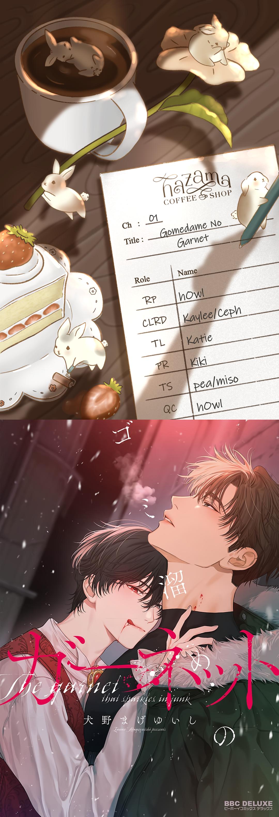 Garnet Giữa Đống Hoang Tàn Chapter 1 - Trang 2