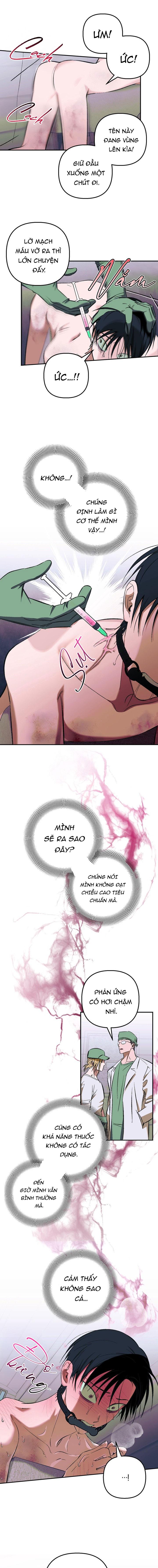 THÚ CƯNG DAMDANG Chapter 9.2 bản báo cáo 2 - Next Chapter 9.2 bản báo cáo 2