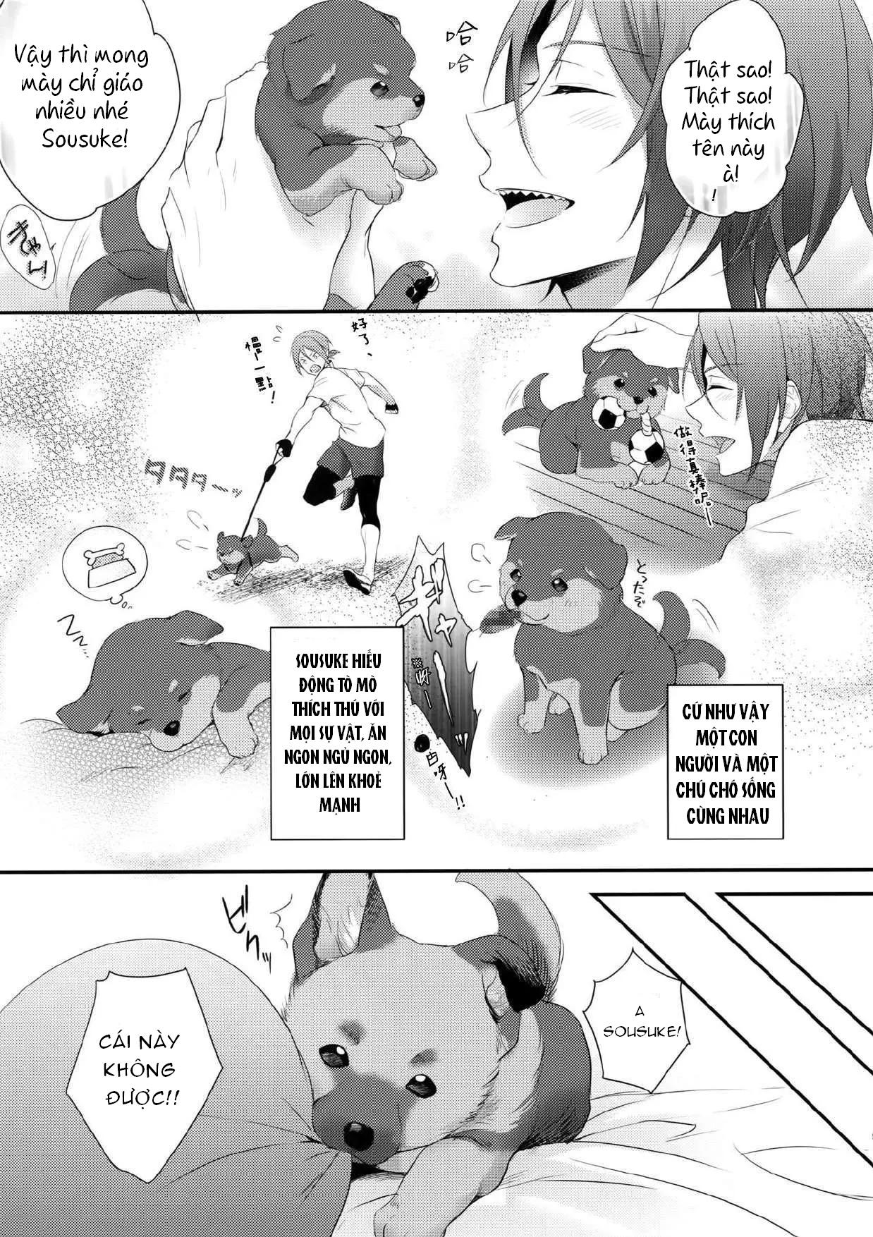 ONESHOT COI LÀ NỨNG Chapter 303 - Trang 2