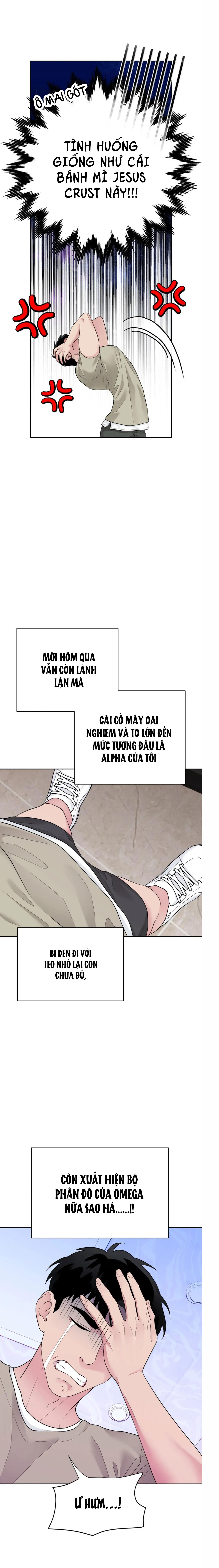 TUYỂN TẬP ABO - MANG THAI NGẮN CỦA NHÀ SẸC Chapter 67.1 omega 1 - Trang 2