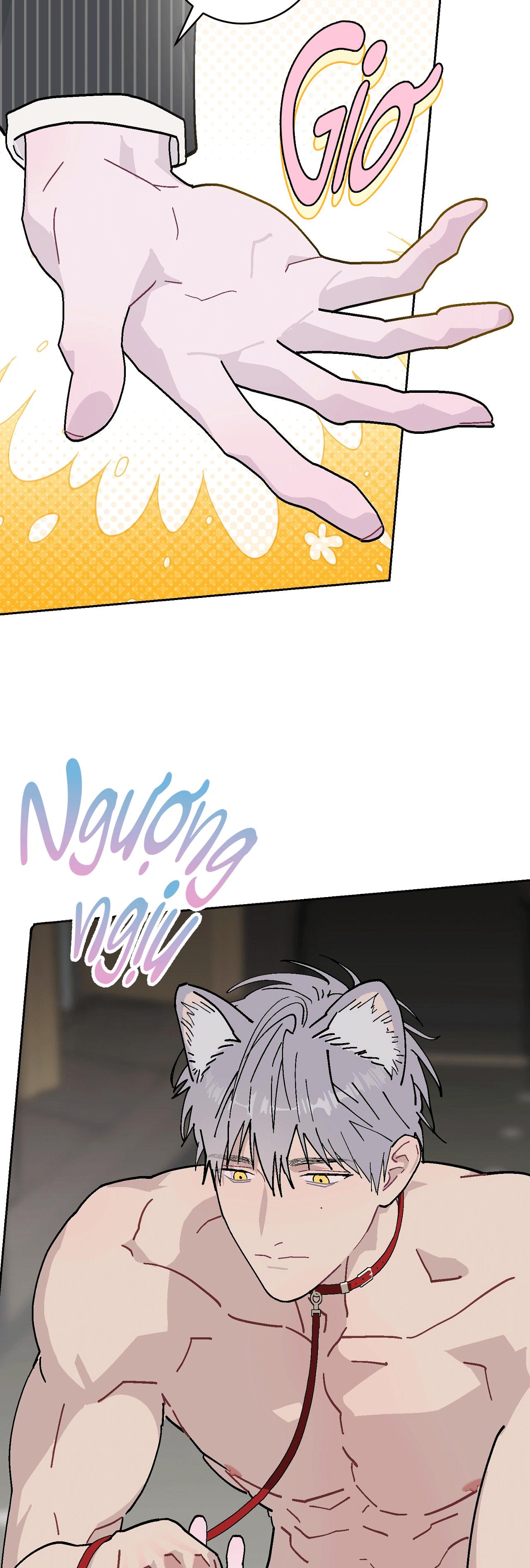 GUIDE ESPER NGẮN Chapter 4.7 esperđịnhmệnhnt - Trang 2