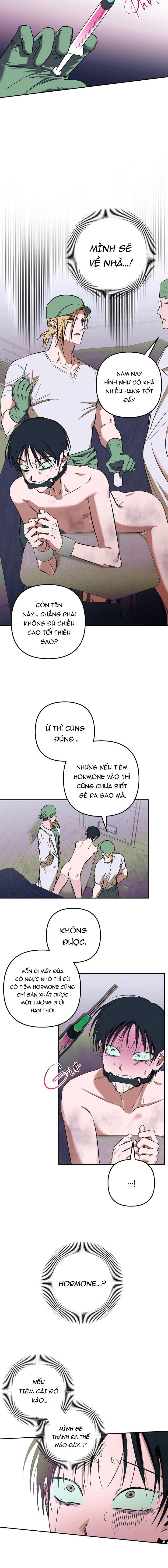 THÚ CƯNG DAMDANG Chapter 9.2 bản báo cáo 2 - Next Chapter 9.2 bản báo cáo 2