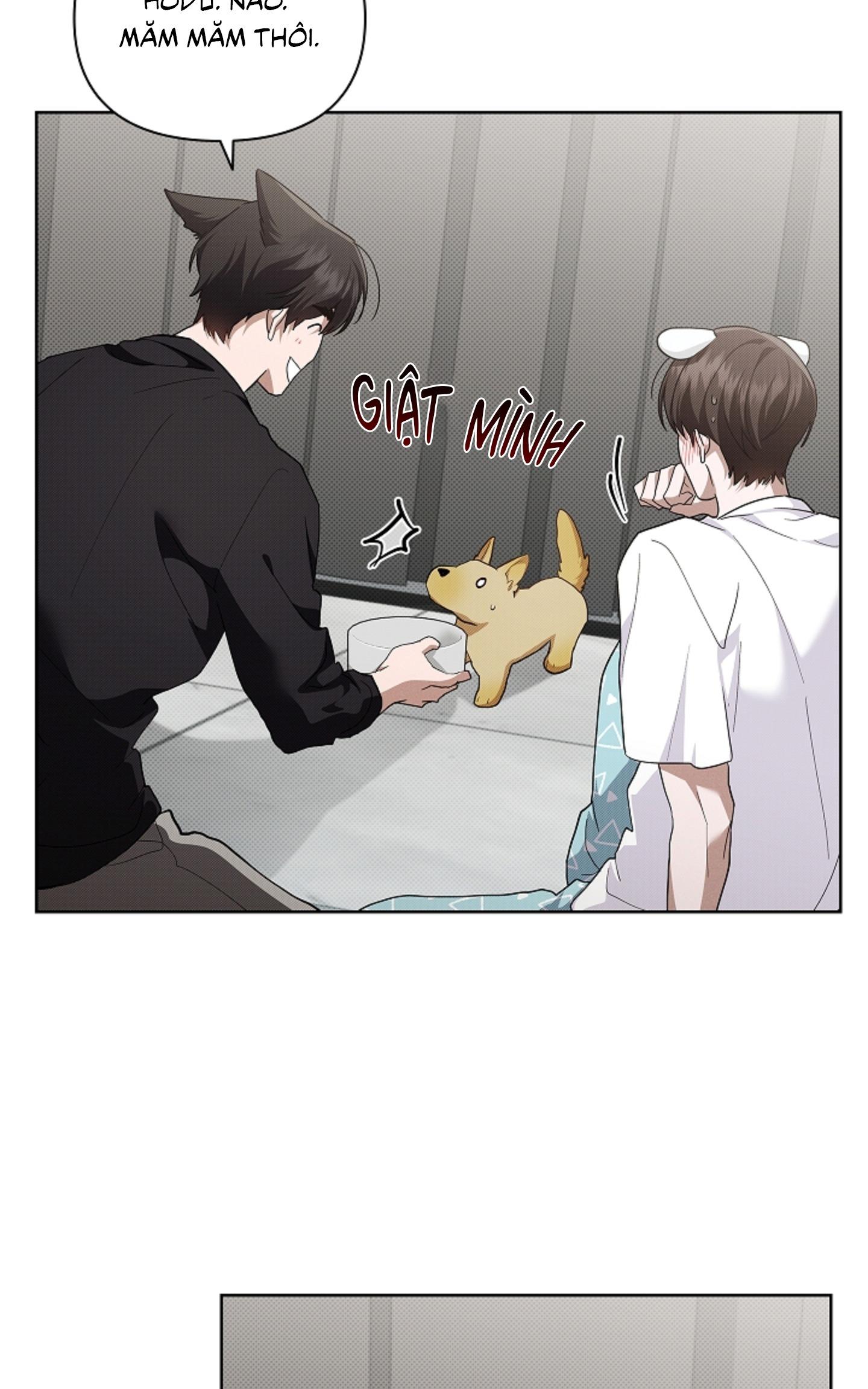 ĐỪNG ĐỘNG VÀO CÚN CON! Chapter 44.02 - Trang 2