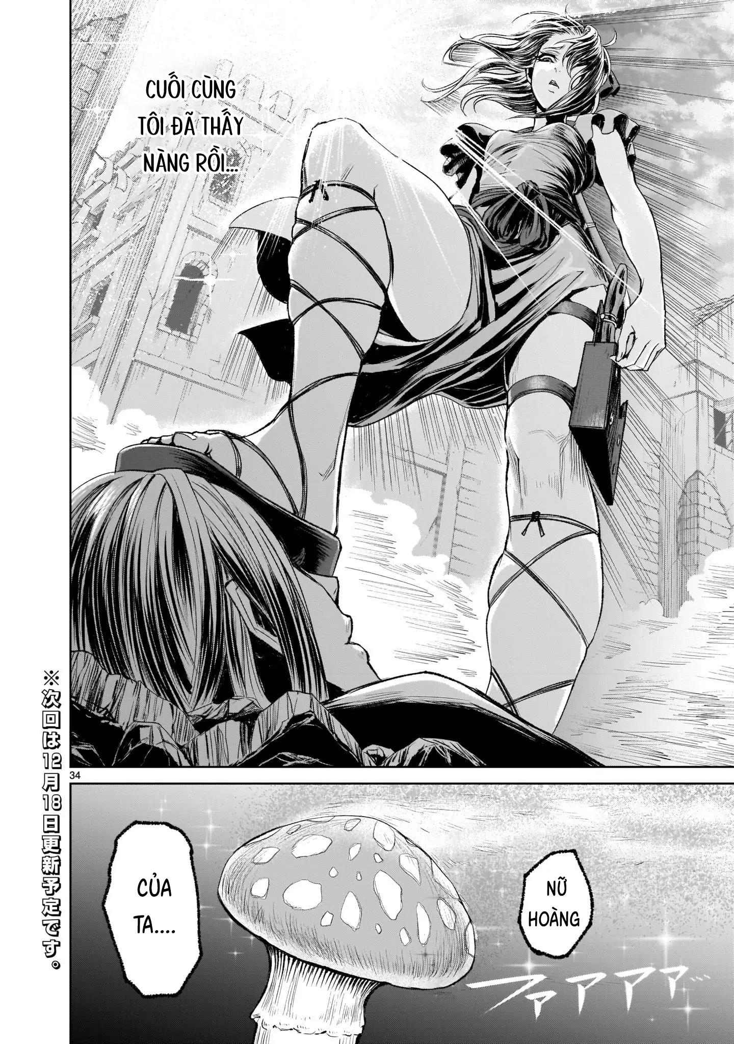 Ký Sự Rosengarten Chapter 4 Hachiennhom - Trang 2