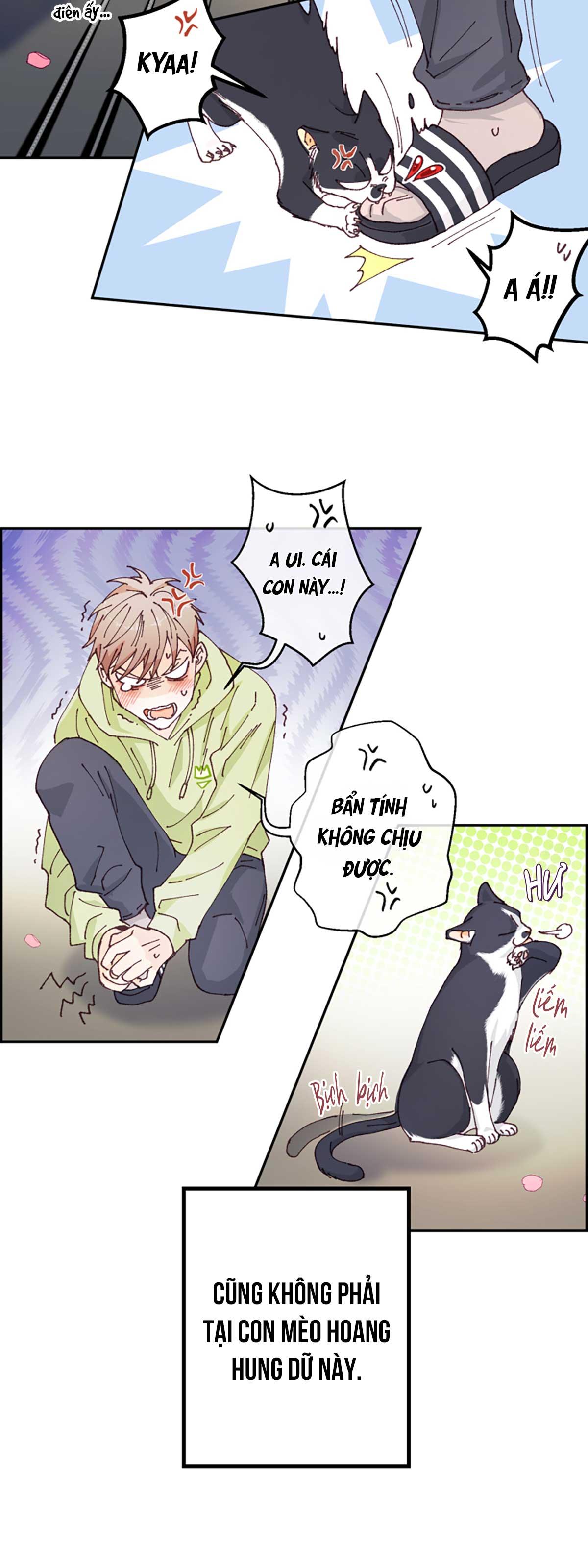 NGƯỜI HÀNG XÓM QUYẾN RŨ CỦA TÔI Chapter 1 - Trang 2