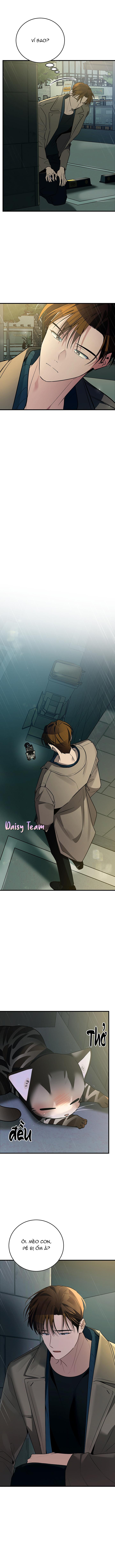 (Daisy) Sinh mèo con cho tôi mau trước khi thằng này điên lên Chapter 2 - Trang 2