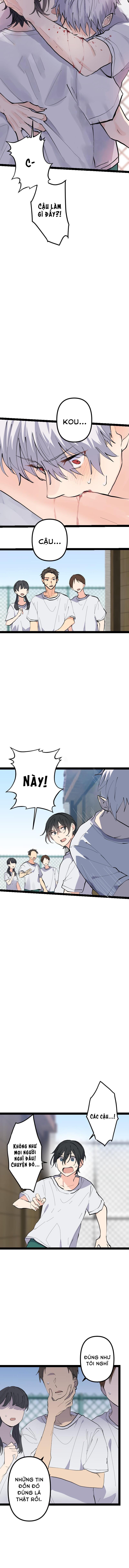 Cậu Là Ma Cà Rồng Dưới Ánh Mặt Trời Chapter 4 - Trang 2
