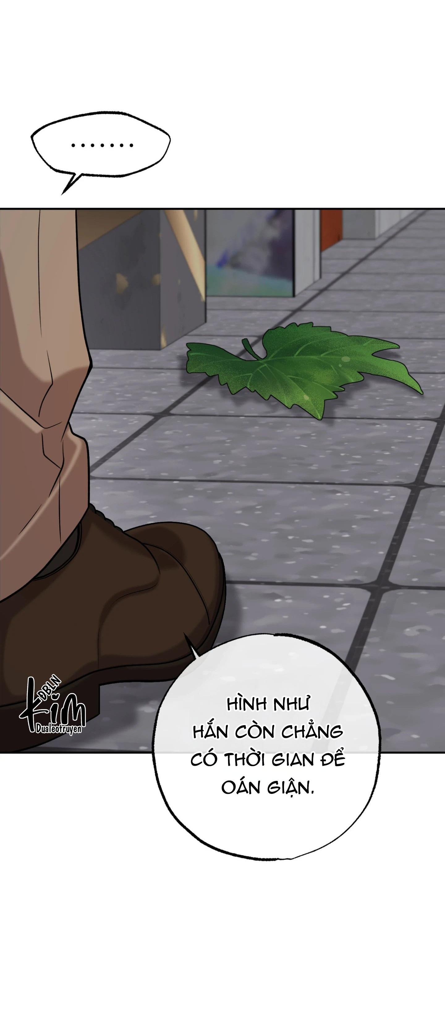 DAWNING LIGHT Chapter 5 - Next Chapter 6