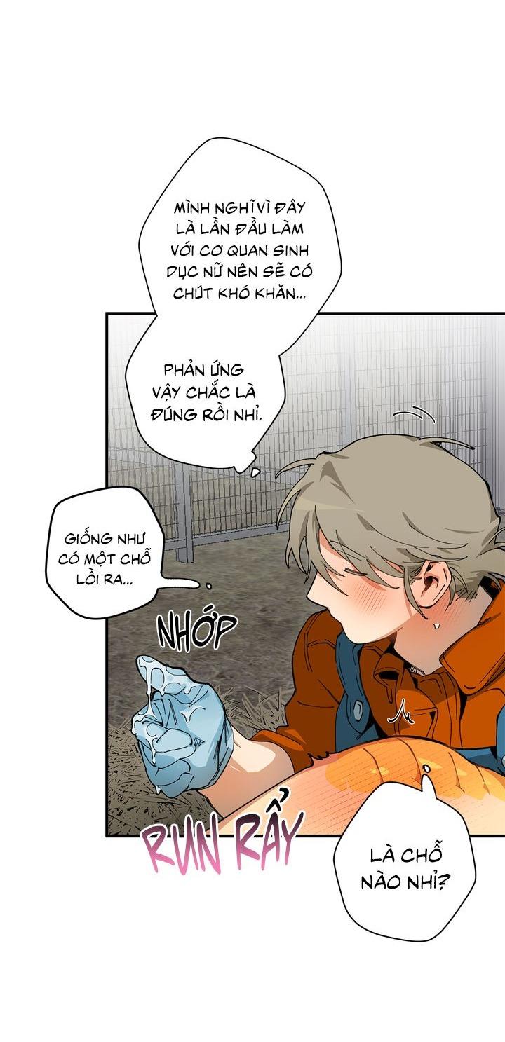 Mr.A's Farm Chapter 9 - Next Chapter 10