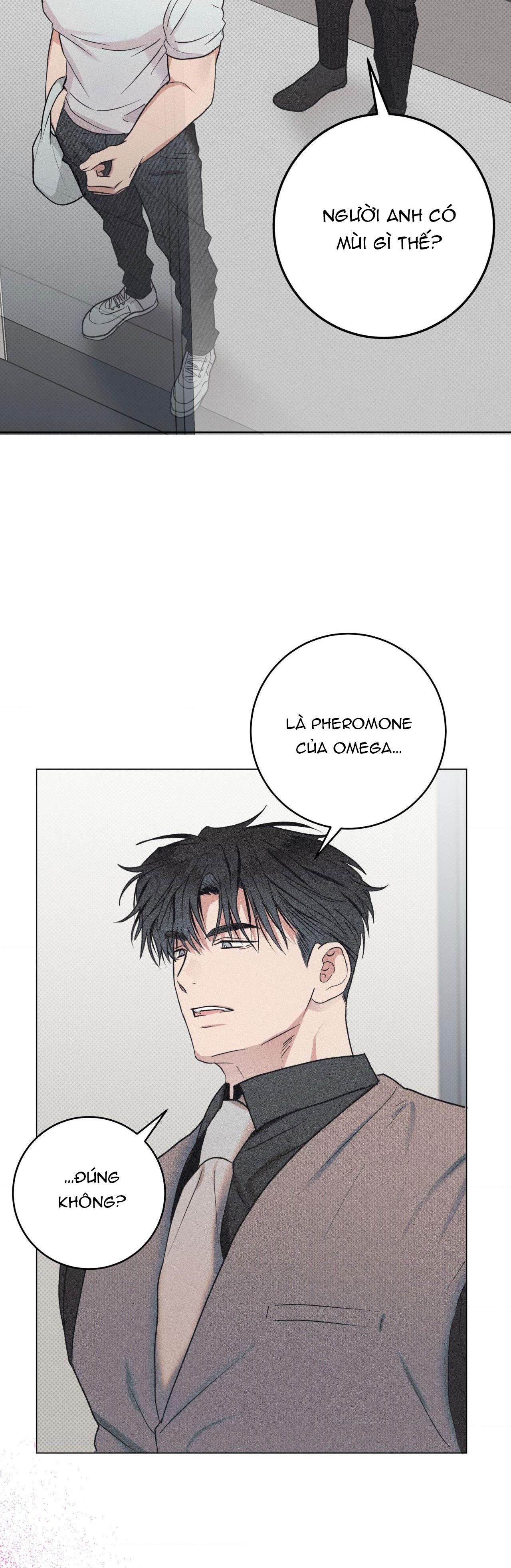 Định Mệnh Sai Lầm Chapter 7 - Next Chapter 8