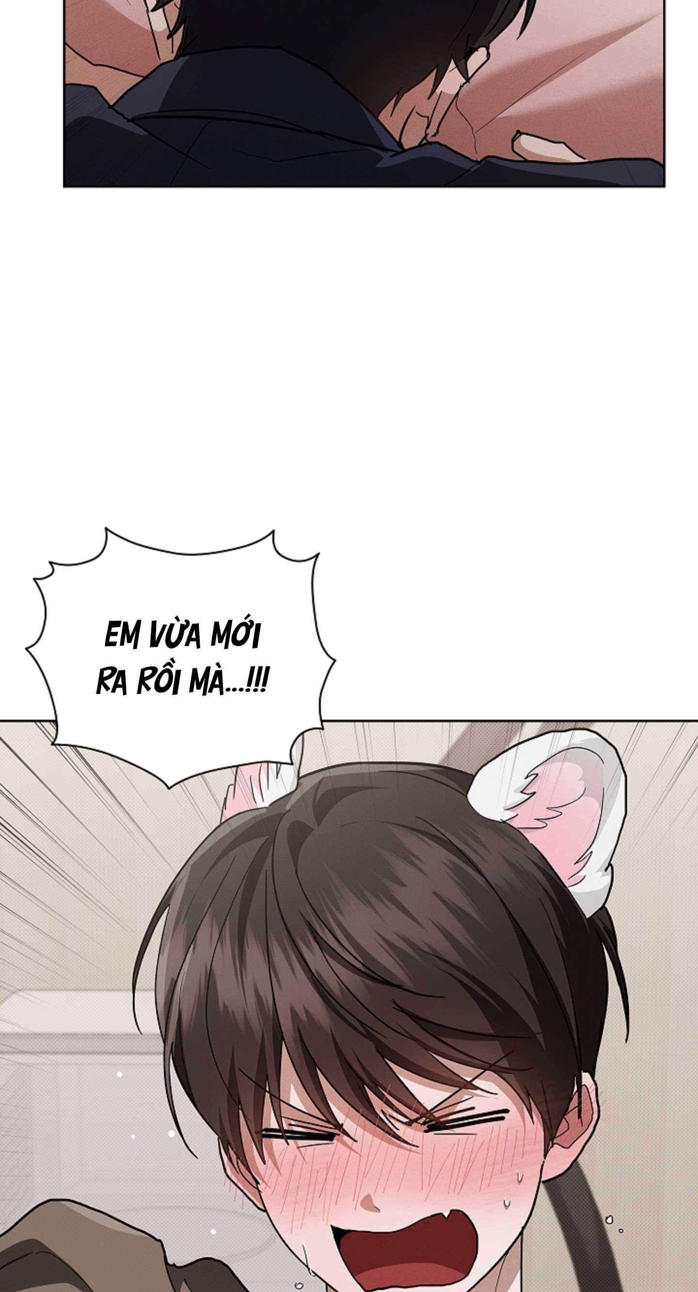 ĐỪNG ĐỘNG VÀO CÚN CON! Chapter 44.09 H+ - Trang 2