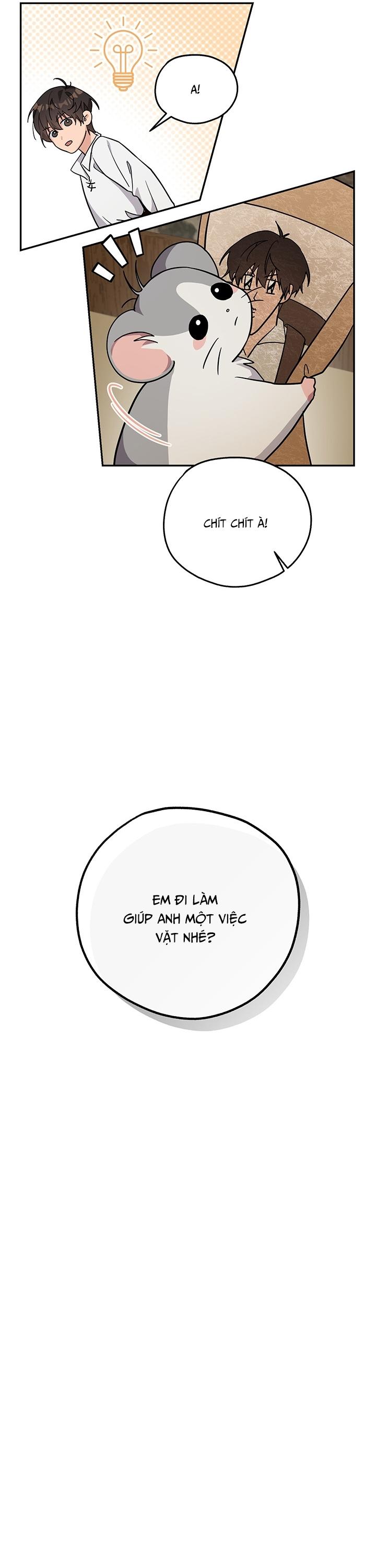 (GĐCV) BÉ CHUỘT CỦA TÔI LÀ THỨC TỈNH GIẢ CẤP S Chapter 4 - Trang 2