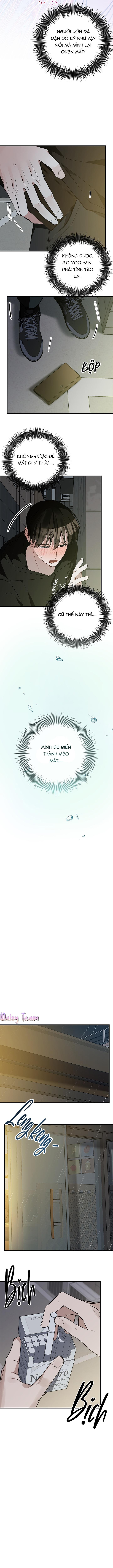 (Daisy) Sinh mèo con cho tôi mau trước khi thằng này điên lên Chapter 2 - Trang 2