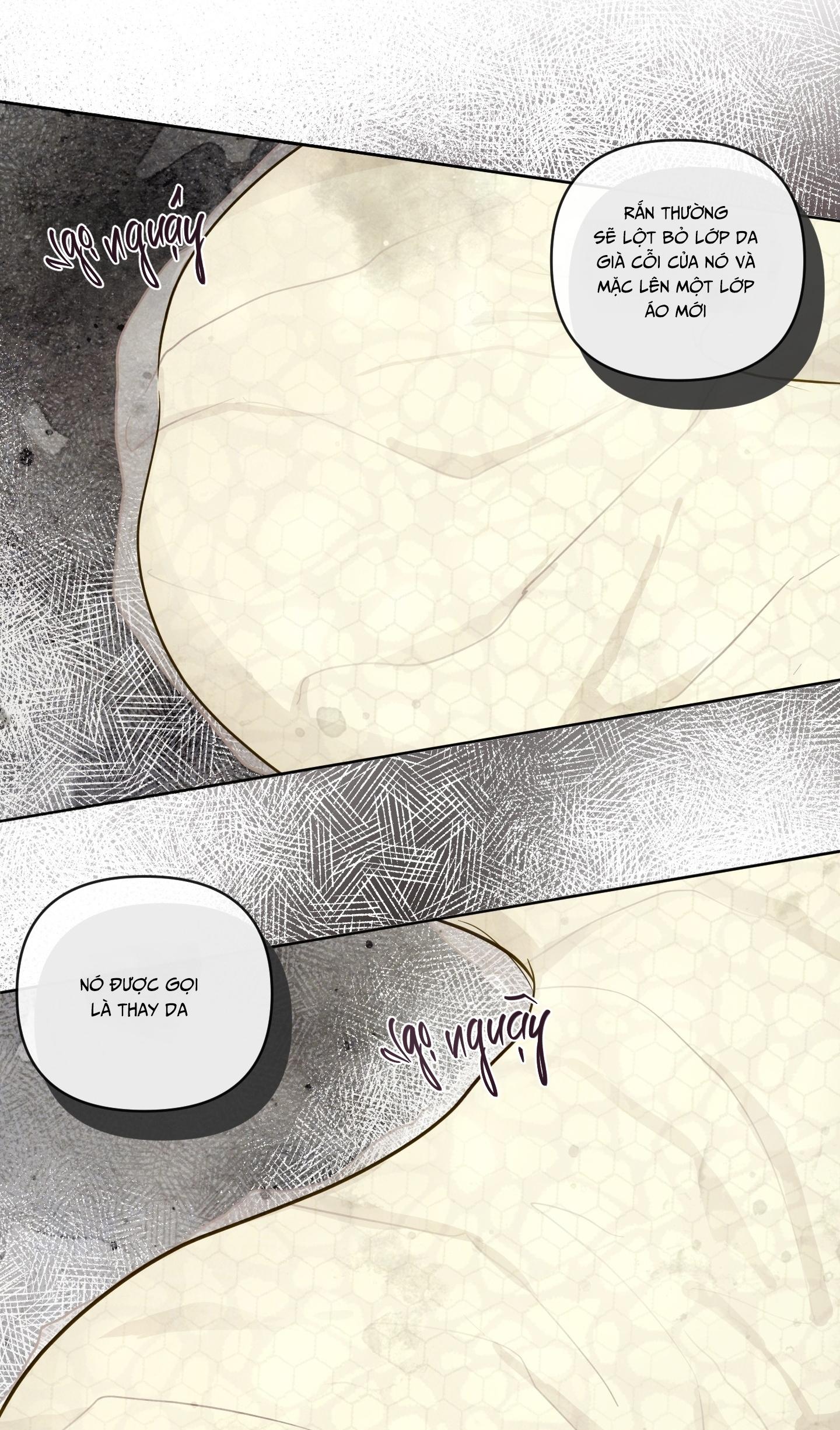 The Sacred Serpent's Seduction Chapter 22 - Trang 2