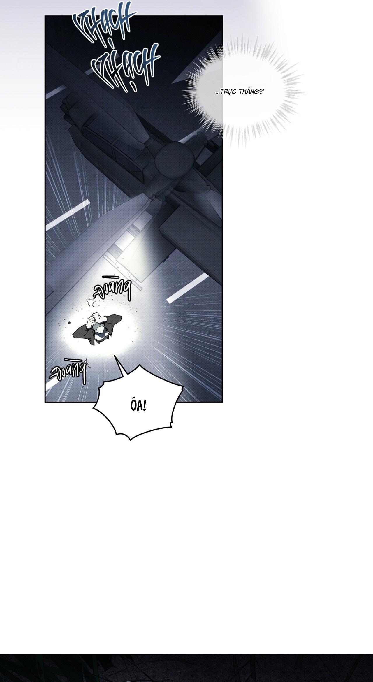 (GĐCV) HÌNH THÁI TIẾN HÓA Chapter 13 - Trang 2