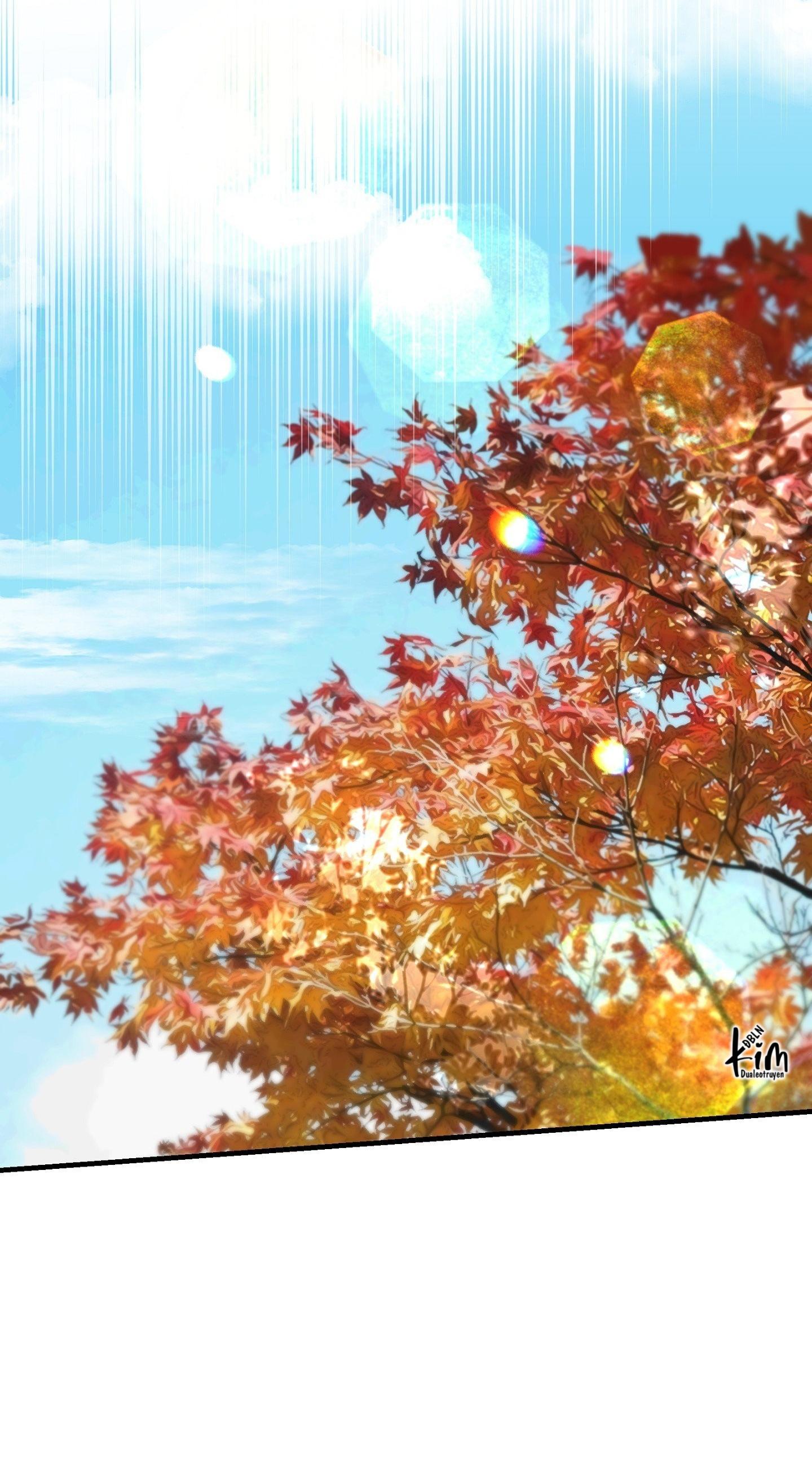 MẢNH VỠ CỦA ÁNH TRĂNG Chapter 9 - Trang 2