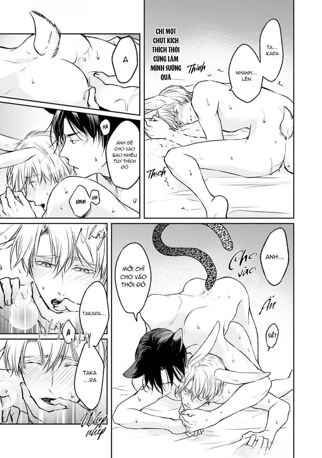 Đã Đến Lúc Cưng Chiều Rồi! Chapter 1 H+ - Next Chapter 2