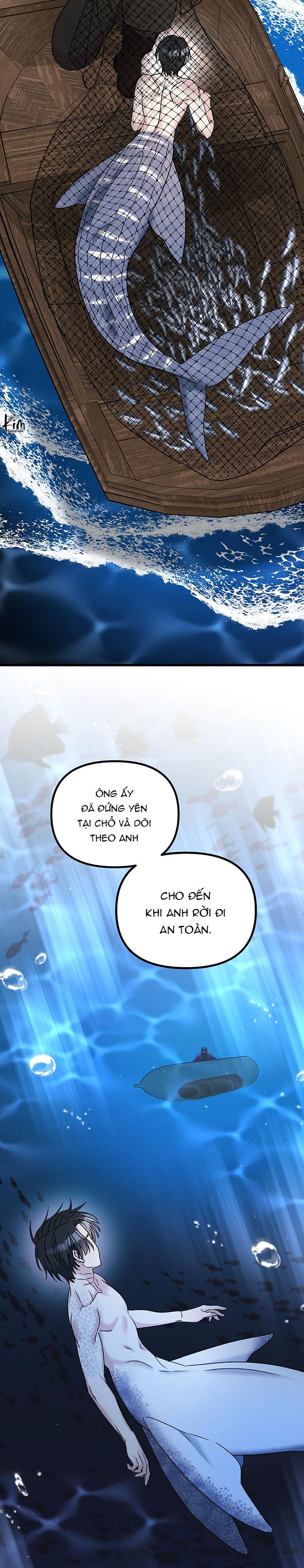 Mermaid's Cradle Chapter 6 - Trang 2