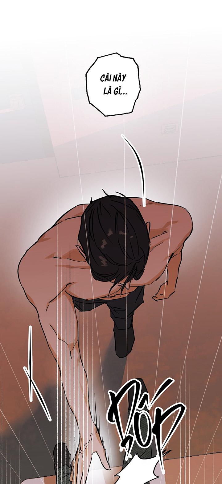 [DDT] Phiên Bản Hoàn Hảo Chapter 1 19+ - Trang 2