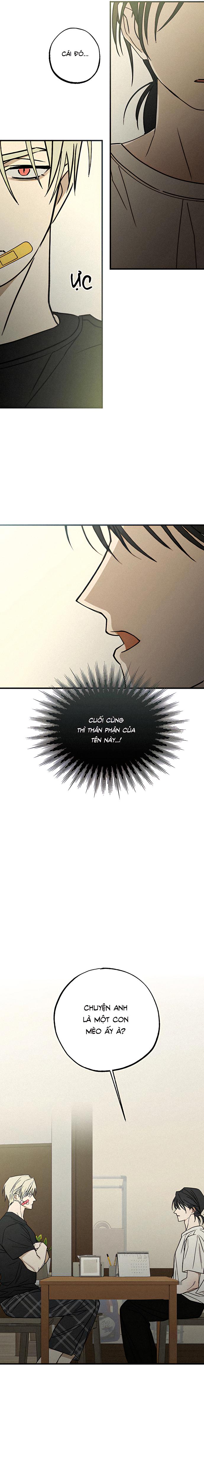 Chứng Nhận Quan Hệ Gia Đình Chapter 3 - Trang 2