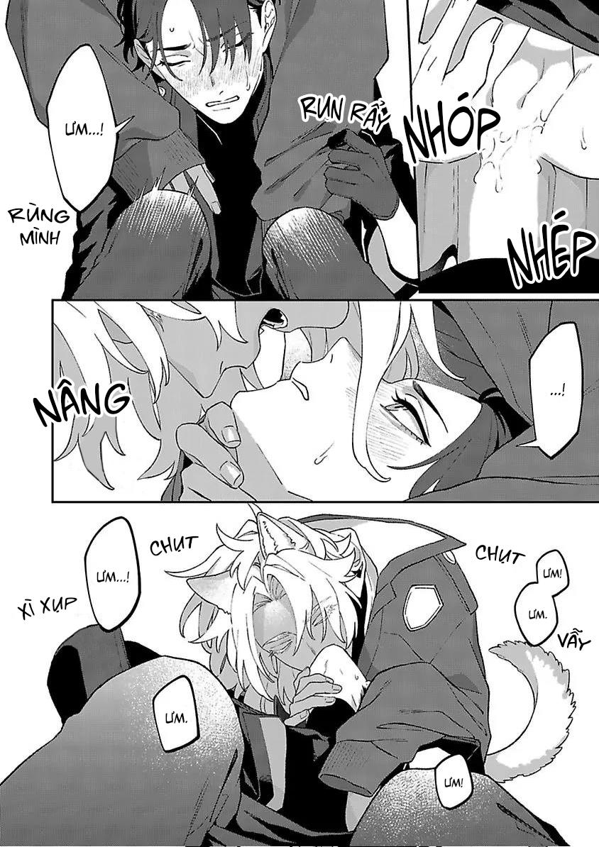 Hai Chú Chó Rắc Rối Chapter 4 - Trang 2