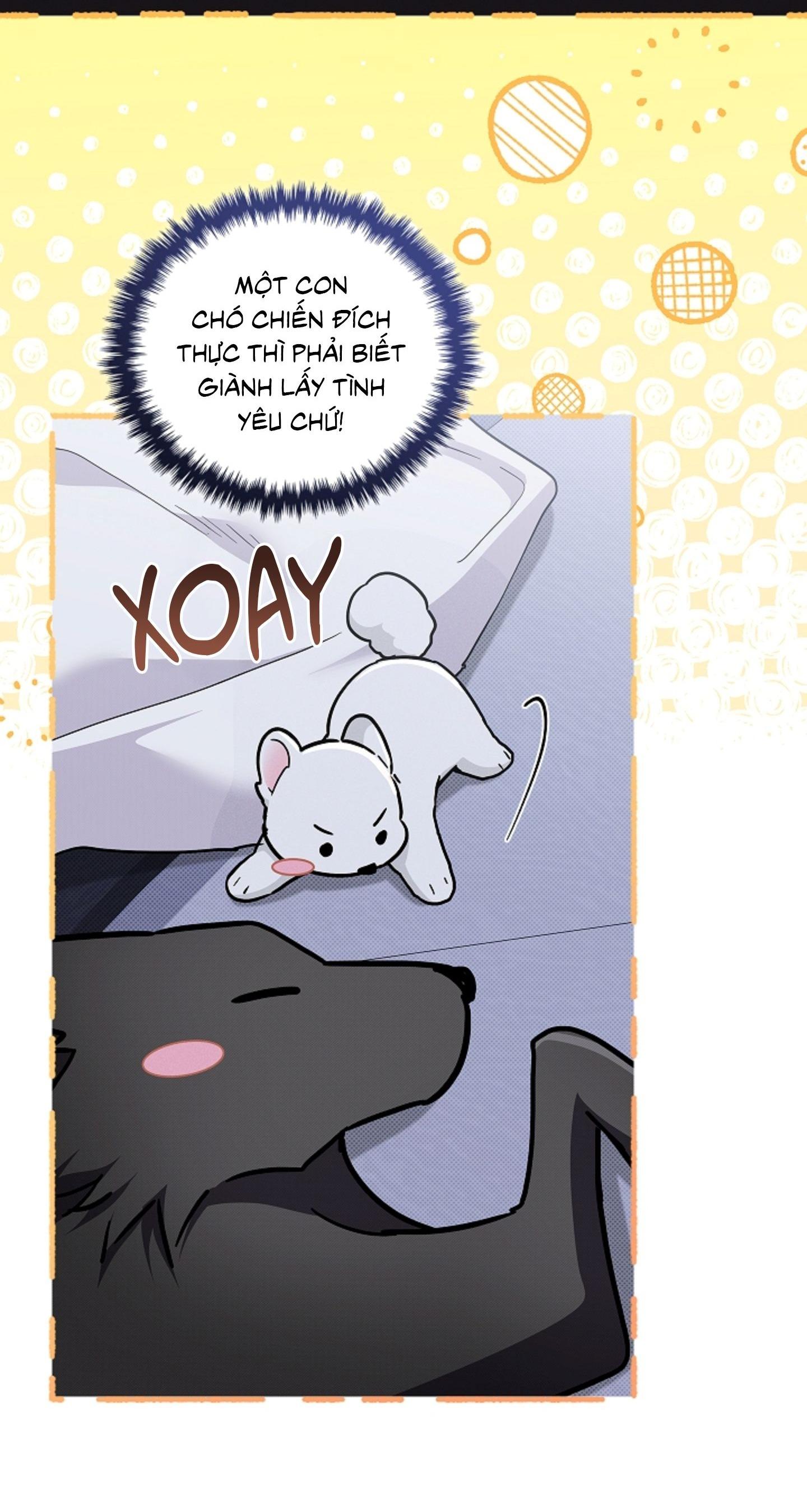 ĐỪNG ĐỘNG VÀO CÚN CON! Chapter 44.07 - Trang 2