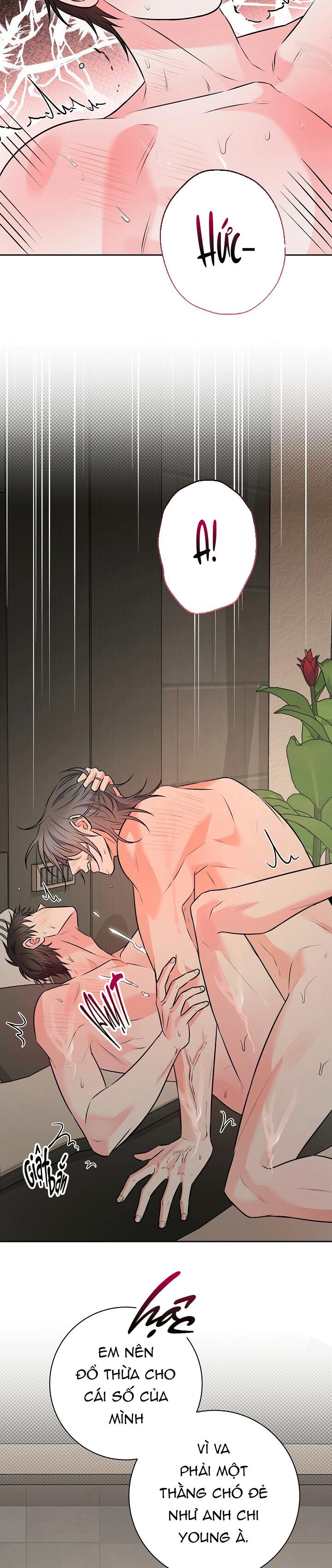 CHÁN GHÉT Chapter 72 - Trang 2