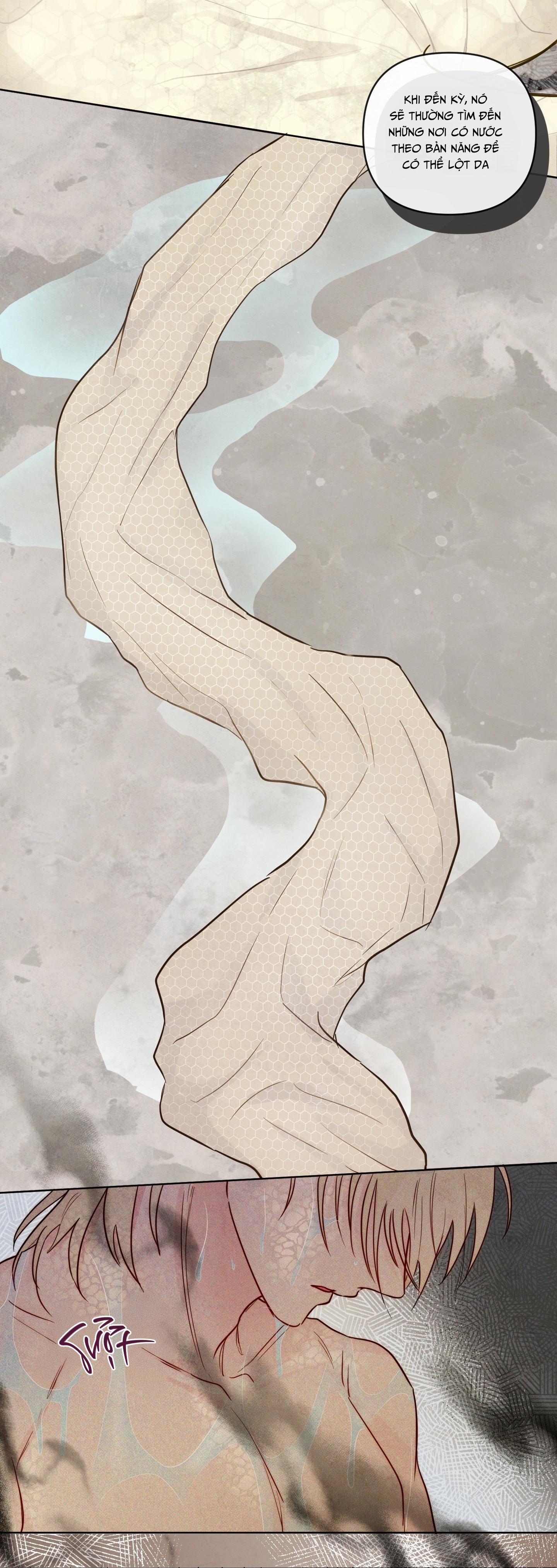 The Sacred Serpent's Seduction Chapter 22 - Trang 2