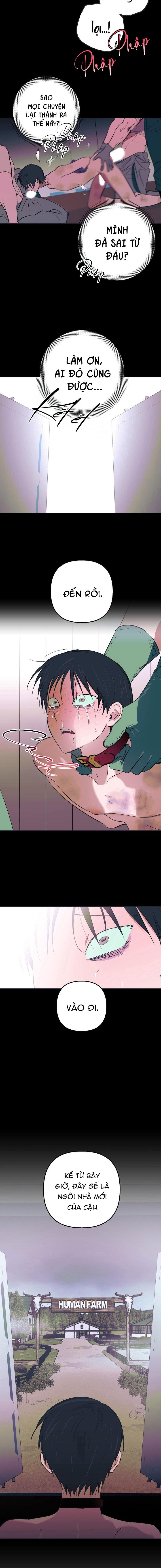THÚ CƯNG DAMDANG Chapter 9.1 bản báo cáo 1 - Trang 2