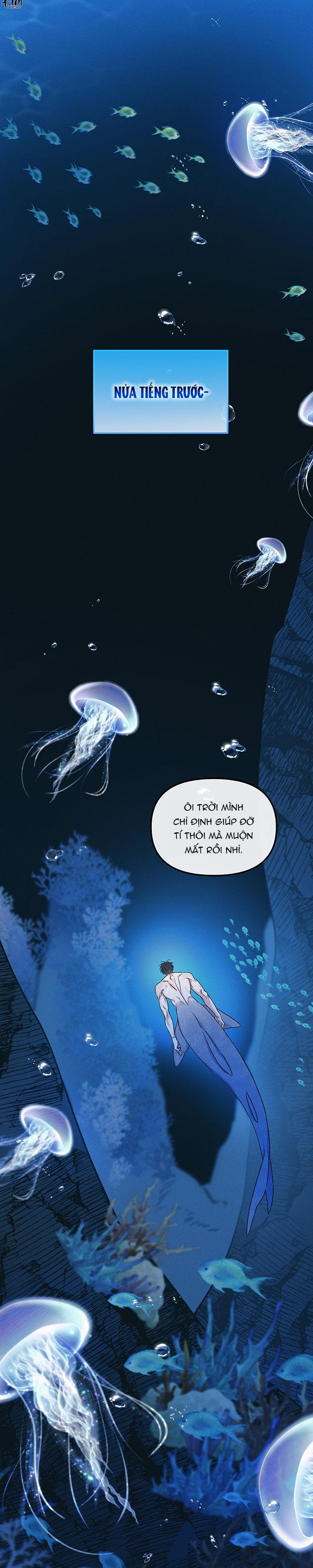 Mermaid's Cradle Chapter 2 - Trang 2